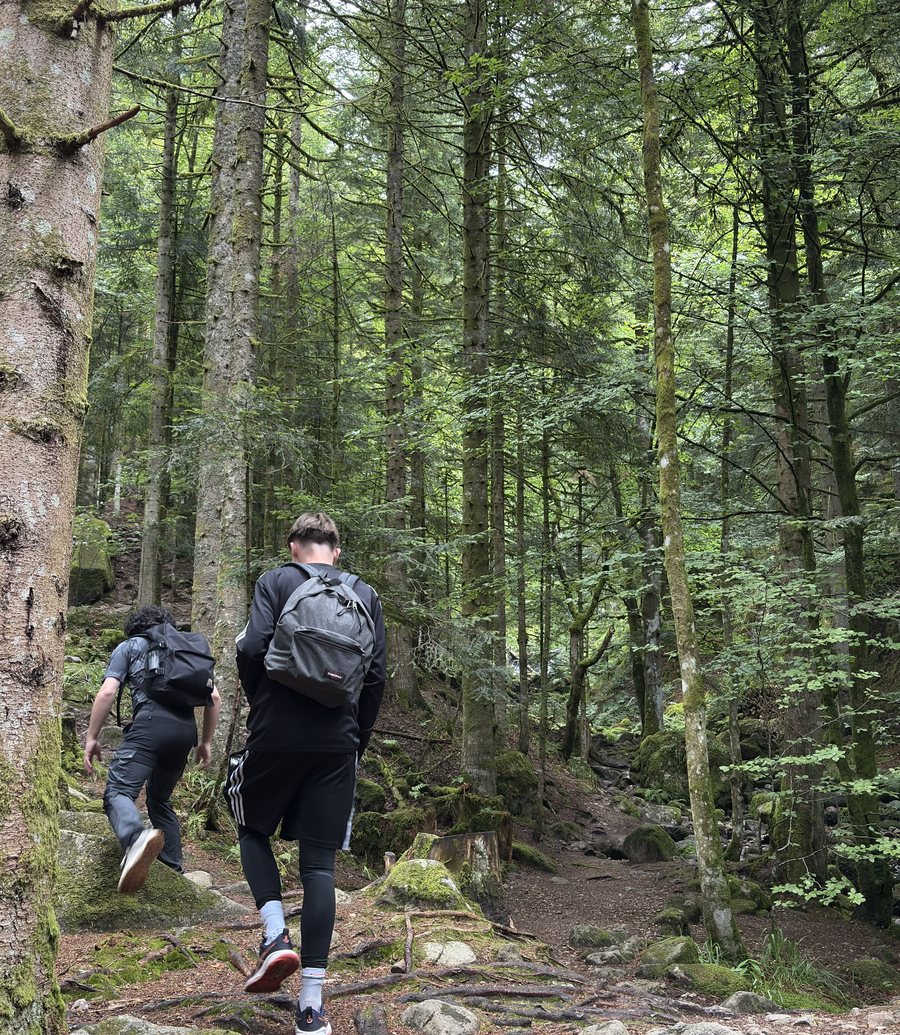 Randonnée sur un sentier de forêt, entre les racines et les rochers