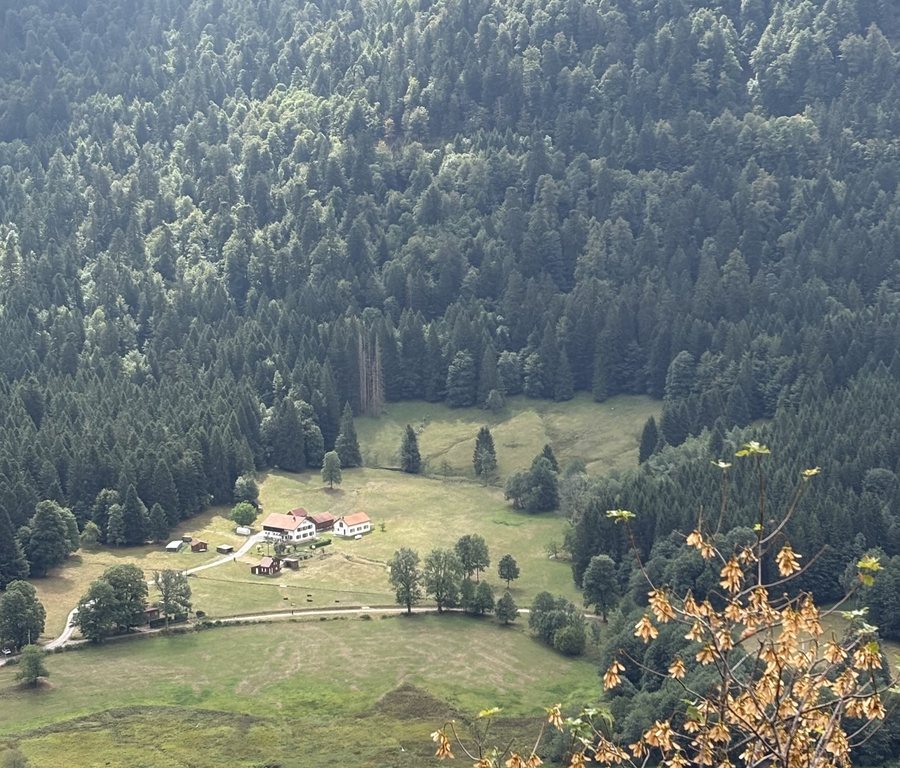 Vue plongeante sur une vallée des Vosges : une ferme isolée, des prés et la forêt
